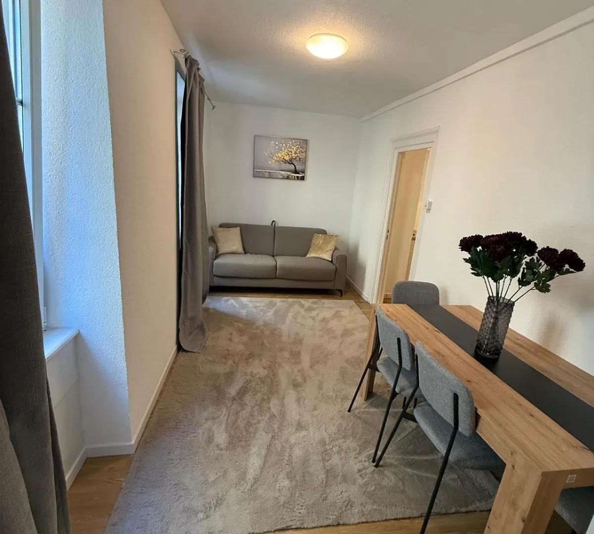 Aparthotel Bliss Basel Residence Binningen Svizzera